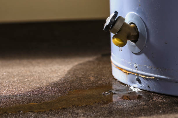 Best Ceiling water damage repair  in Lake Placid, FL