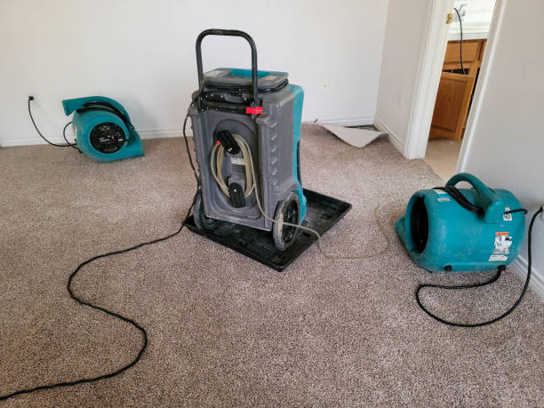 Best Commercial water damage restoration  in Lake Placid, FL