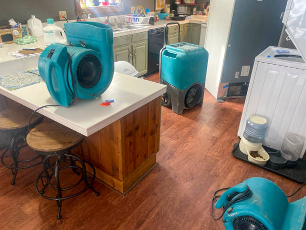 Best 24/7 water damage repair  in Lake Placid, FL