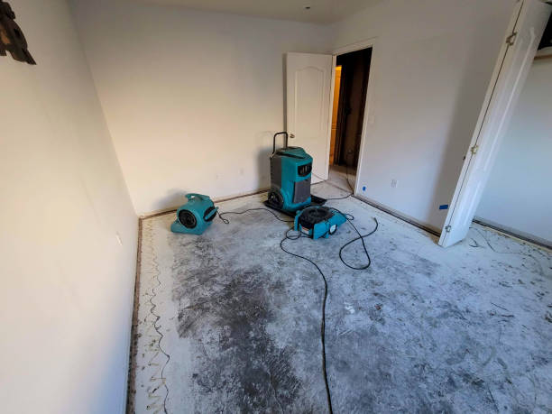 Best Water damage restoration near me  in Lake Placid, FL