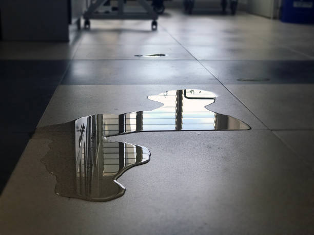 Best Water damage restoration company  in Lake Placid, FL