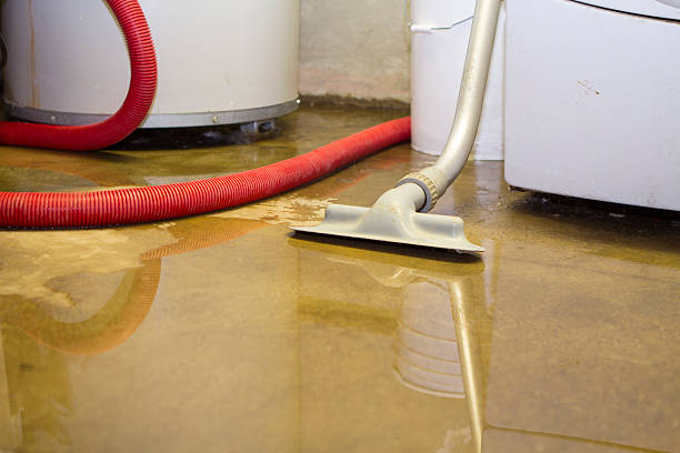 Best Flood restoration services  in Lake Placid, FL