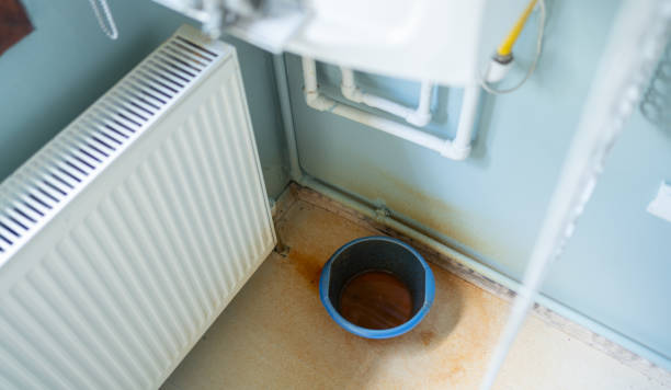 Best Residential water damage restoration  in Lake Placid, FL