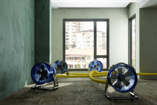  Lake Placid, FL Water damage restoration Pros